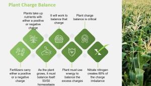 Maximizing Crop Yields with Plant Charge Balance: Insights from Darin Moon  | NutraDrip Irrigation Systems